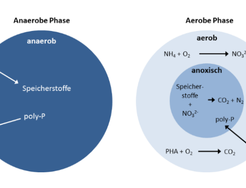 MIKROPELLETS – Phase 1