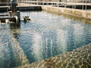 Kläranlagenbelüftungsbecken mit aufsteigenden Sauerstoffblasen durch klares Wasser, teilweise eingetauchte Belüftungsgeräte