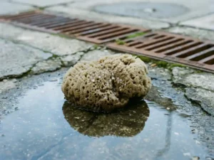 Großer Naturschwamm absorbiert Wassertropfen auf verwittertem Betonboden mit Kanalabdeckungen im Hintergrund